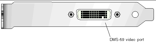 Figure showing the Sun XVR-300 x8 graphics accelerator DMS-59 video port on full-height I/O bracket.