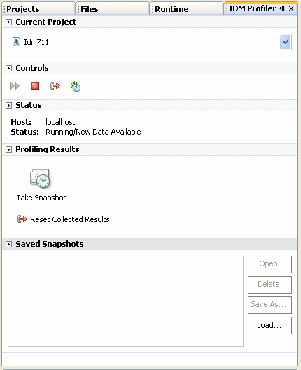 Graphic showing the IDM Profiler view section in the NetBeans window.