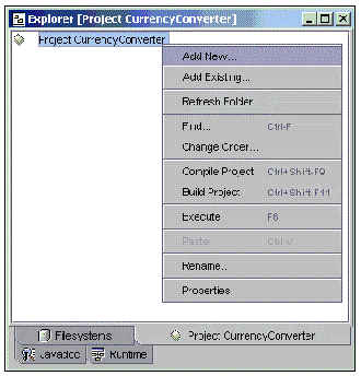 Screenshot showing the Explorer window's Project tab with Add New selected.