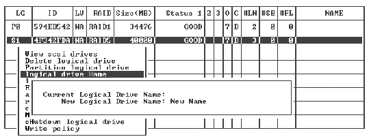Screen capture shows "Logical Drive name:" prompt displayed and "New Name" entered in the New Logical Drive Name field.