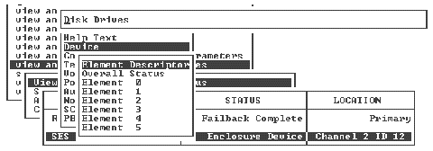 Screen capture shows the "Disk Drives" descriptor.
