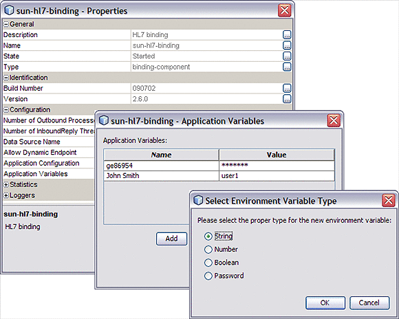 Graphic shows the HL7 Binding Component Runtime
Properties Editor and the Application Variable dialog box.