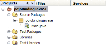 Figure shows the project structure for a Java
Application project.