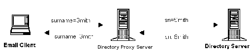 Directory Proxy Server can rename attributes in a client query to a form understood by a directory server before passing the query to a directory server.
