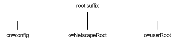 Structure of the default directory tree