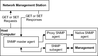 This figure shows the interaction between a proxy agent and a native agent.
