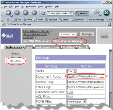 Figure showing the Settings page of the Virtual Server Manager.