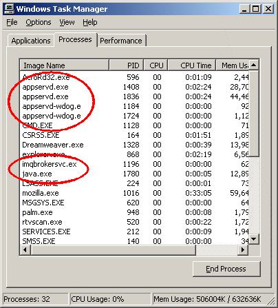 This screen shot shows the Windows Task Manager with the Processes tab highlighted and the application server processes circled.