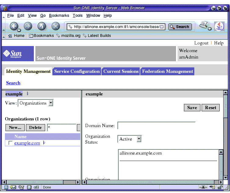 Screen capture; shows information about the example domain.