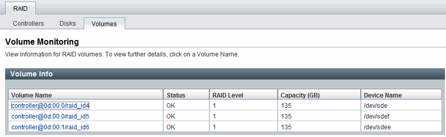 RAID volume configuration details.