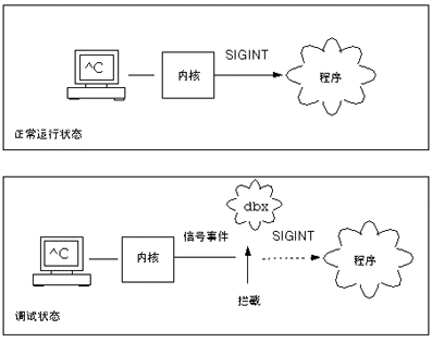 信号被传送的正常案例以及信号被 dbx 截获和取消的调试案例图。