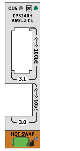 This figure shows the faceplate of the AMC. This figure shows the faceplate of the AMC.