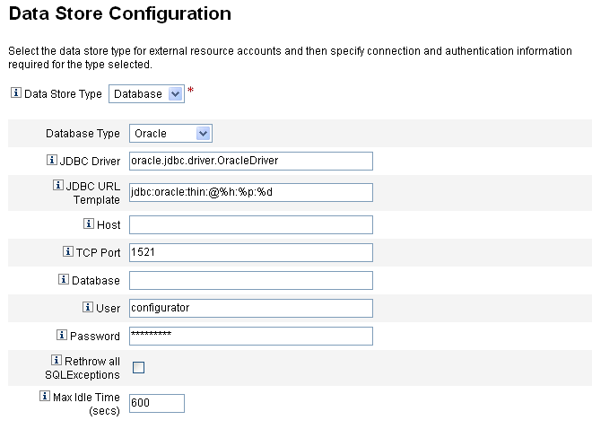 Figure showing an example Data Store Configuration page
for the Database Type