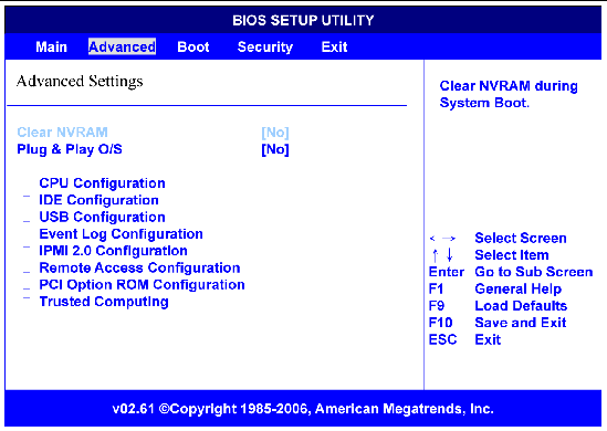 Figure showing BIOS advanced configuration menu