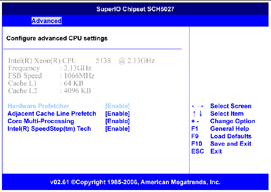 Figure showing BIOS CPU configuration menu