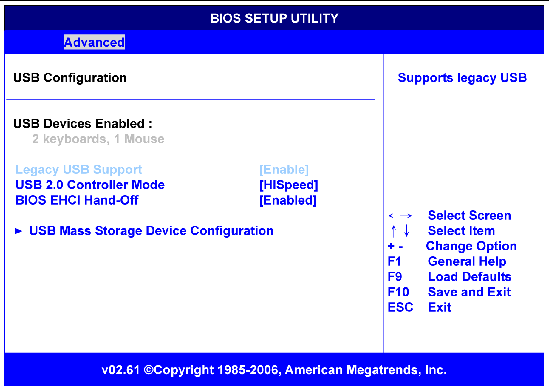 Figure showing BIOS USB configuration menu