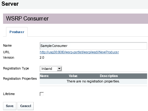 Version, Registration Type, Lifetime and Other Details
for the WSRP Consumer