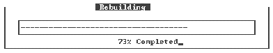 Screen capture showing Rebuild progress bar with 73% completed displayed.