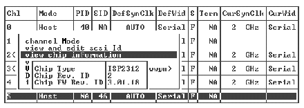 Screen capture showing chip information from a host channel on an FC array.