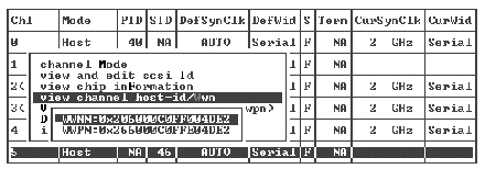 Screen capture showing the channel's worldwide node name and worldwide port name displayed.