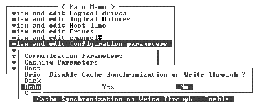Screen capture showing "Cache Synchronization on Write-Through" chosen and the confirmation prompt displayed.