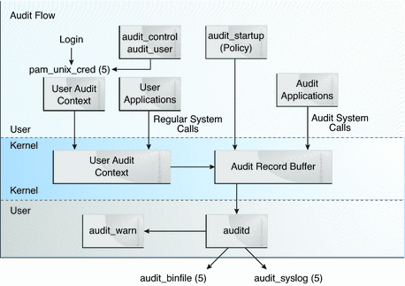 Graphic shows identification and authentication for auditing, then the flow from audit class preselection to plugin output.