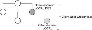 Diagram shows client credentials and LOCAL and LOCAL DES domains