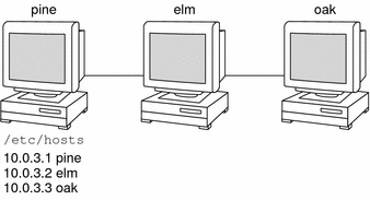 图中显示了 pine、elm 和 oak 计算机，以及 pine 中列出的各自的 IP 地址。