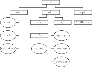 该图显示了根 (/) 文件系统样例，其中列出了 sbin、etc 和 opt 目录中的部分项。