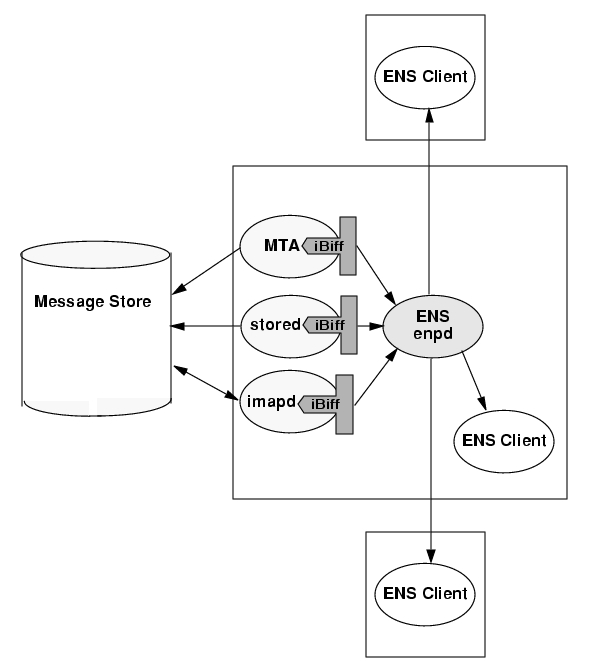 ENS clients subscribe to notifications and receives (consumes) them. Notifications flow from the iBiff plug-in in the MTA, stored, and imap processes. 