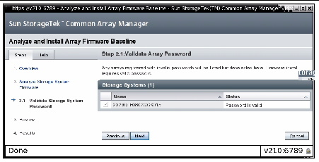 Screen capture showing array password validation.