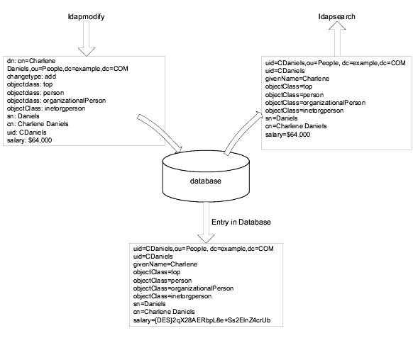 Attribute encryption showing attributes encrypted in the database but decrypted in the ldapsearch and ldapmodify queries