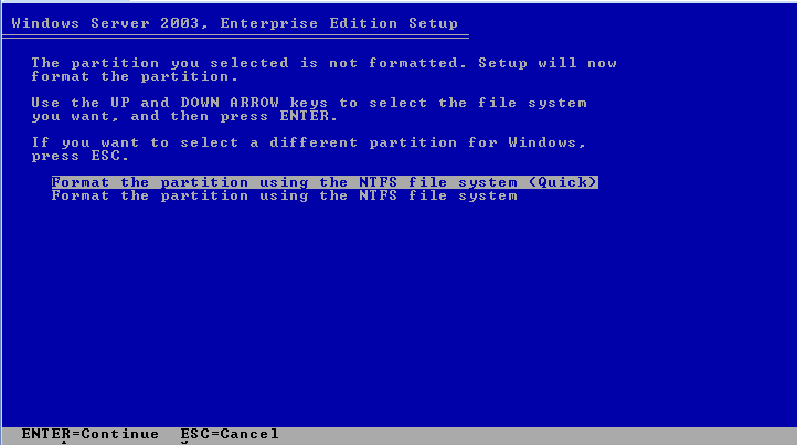 Graphic showing the partition format selection screen.