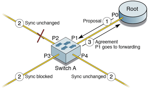 image:Figure showing rapid transition of a port to forwarding state