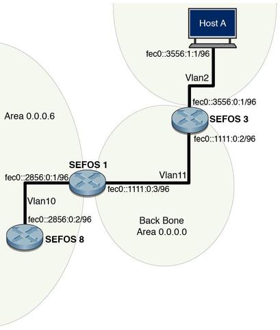 image:Figure showing host topology