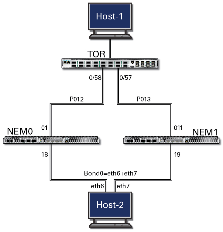image:Figure showing topology from Host 1 to Host 2 through TOR and redundant NEM switches