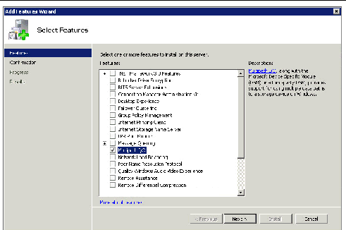 Screen showing wizard for selecting features.