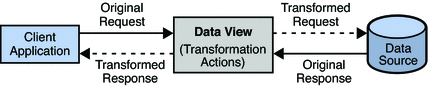 Figure shows a high level view of how a mapping transformation
works