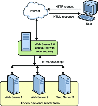 Reverse proxy setup