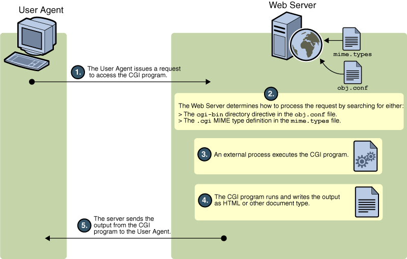 Web Server Web Server