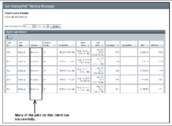 Client Job Details screenshot showing client jobs that were successfully backed up.