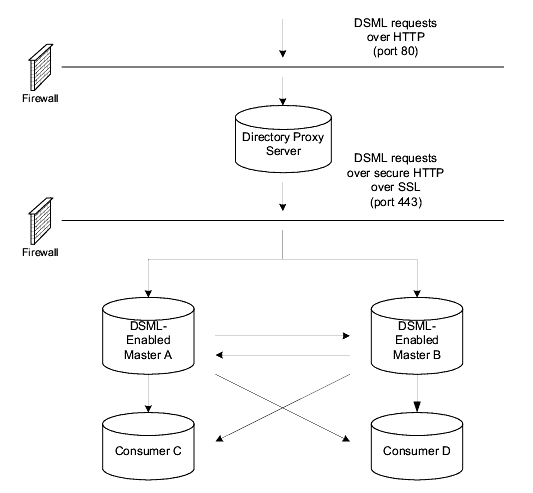 Sample DSML--enabled deployment showing DSMl requests sent over HTTP (port 80)  and HTTPS (port 443)