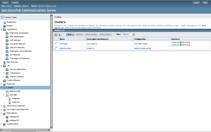 Admin Console shows the newly created cluster with two
running instances