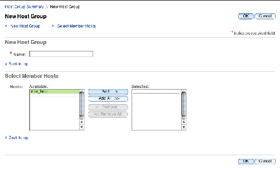 Screen capture of the New Host Group page.