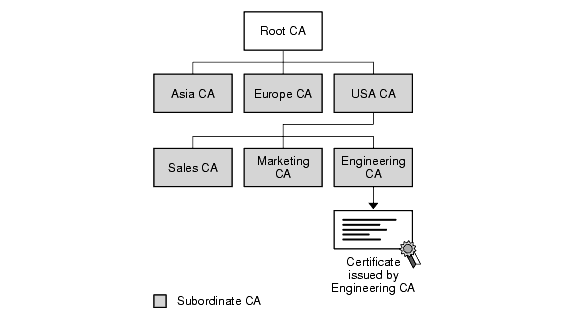 The figure illustrates CA subordination.