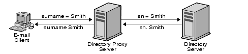 Directory Proxy Server can rename attributes in a client query to a form understood by a directory server before passing the query to a directory server.