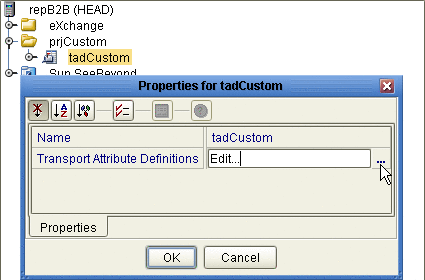 Custom Transport Attributes Definition