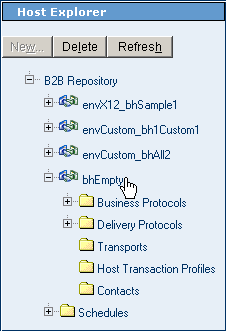ePM Structure of the Host Explorer