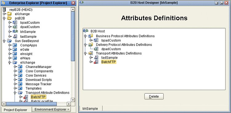B2B Host Designer in Enterprise Designer