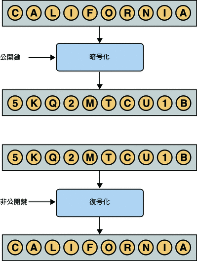 図に、公開鍵を使用した単語の暗号化と、非公開鍵を使用した単語の復号化を示します。